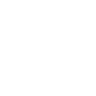 Vermis